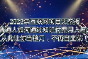 （15354期）2025年互联网项目天花板，普通人如何通过卖项目实现逆风翻盘，月入5W＋！-麦资源网