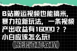 b站掘金计划？搬运视频也能挣拉新的收益，小白应该怎么玩！-麦资源网