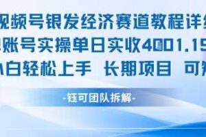 视频号银发经济赛道单账号实操单日实收1k+，小白轻松上手长期项目-麦资源网