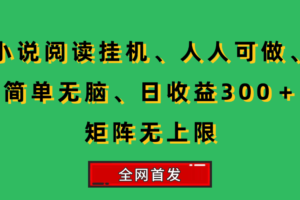 （15413期）小说挂机阅读，人人可做，简单无脑，一天收益300＋矩阵无限上-麦资源网