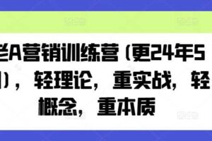 老A营销训练营(更25年7月)，轻理论，重实战，轻概念，重本质-麦资源网