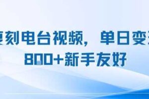 复刻电台视频，单日变现8张+新手友好，长期可做-麦资源网