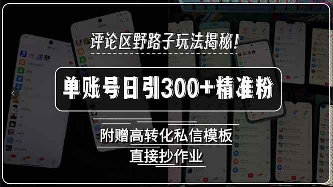 图片[1]-（15466期）评论区野路子玩法揭秘！单账号日引300+精准粉，附赠高转化私信模板，直…
