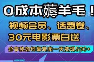 0成本薅羊毛!视频会员、话费卷、30元电影票白送，分享我如何靠转卖一天变现5张+【揭秘】-麦资源网