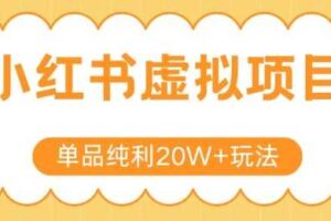 小红书卖虚拟产品，单品纯利20W+玩法分享，4节系列课程-麦资源网