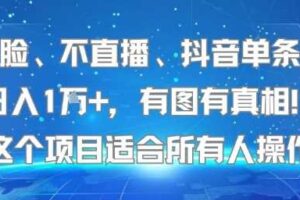 不露脸、不直播、抖音单条视频日入1W+，有图有真相！这个项目适合所有人操作-麦资源网