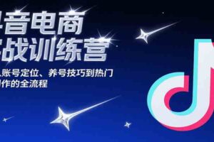 抖音电商实战训练营，涵盖从账号定位、养号技巧到热门内容创作的全流程-麦资源网