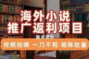 海外小说推广返利项目，视频投喂， 一刀不剪，矩阵批量-麦资源网