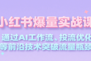 小红书爆量实战课，通过AI工作流、投流优化等前沿技术突破流量瓶颈-麦资源网