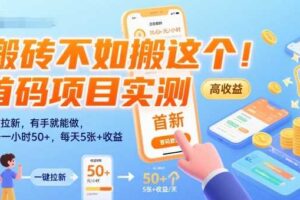 搬砖不如搬这个！首码项目实测：一键拉新，有手就能做，单号一小时50+，每天5张+收益【揭秘】-麦资源网