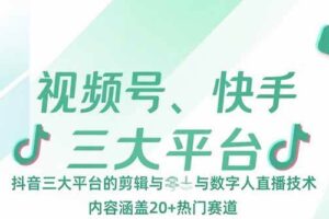 （15449期）视频号、快手、抖音三大平台的剪辑与数字人直播技术，内容涵盖20+热门赛道-麦资源网