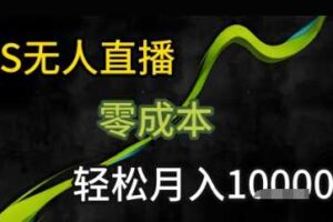 KS无人直播25年最新玩法，只需一部手机，轻松月入1W+【揭秘】-麦资源网