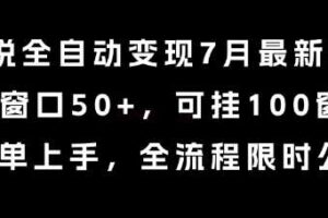小说全自动变现7月玩法,单窗口50+,可挂100窗口,简单上手,全流程限时公布【揭秘】-麦资源网