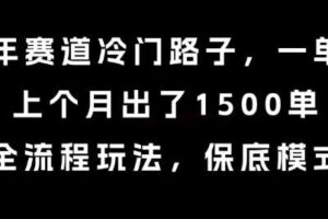 中老年赛道冷门路子，一单788，上个月出了1500单，全流程玩法，保底模式【揭秘】-麦资源网