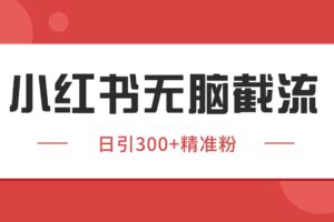 小红书截流同行客源，独家野路子获客玩法 日引200+暴力获客-麦资源网