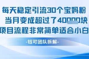每天稳定引流30个人 当月变成超过了4个W项目流程非常简单适合小白-麦资源网