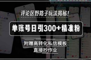 （15466期）评论区野路子玩法揭秘！单账号日引300+精准粉，附赠高转化私信模板，直…-麦资源网