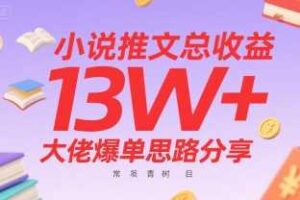 小说推文总收益13W+大佬爆单思路分享，常青树项目-麦资源网