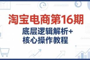 淘宝电商第16期，底层逻辑解析+核心操作教程，运营、推广提升能力的必学课程+配套资料-麦资源网