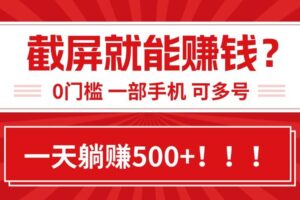 （15482期）靠截屏日赚500+，0门槛有手就行，简单到离谱的小白副业项目!-麦资源网
