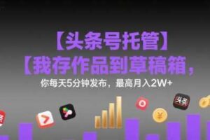 【头条号托管 】我存作品到草稿箱，你每天5分钟发布，最高月入2W+【揭秘】-麦资源网