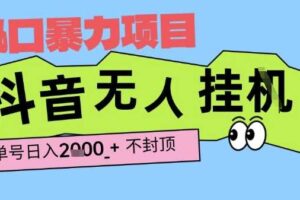 2025最新抖音暴力挂G撸金项目，单号产出2k+ ，小白当天也能拿结果，长期稳定做的项目【揭秘】-麦资源网