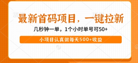 *首码项目，操作*，收益高，一键拉新，1个小时单号可50+，小项目认真做每天5张+收益【揭秘】