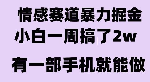 情感*掘金项目，新人操作一周挣了2W，长期稳定小白可做【揭秘】