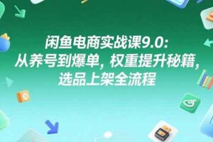 (15325期)闲鱼电商实战课9.0:从养号到爆单,权重提升秘籍,选品上架全流程-麦资源网