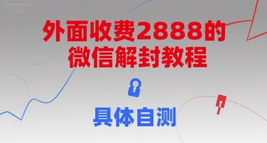 （15301期）外面收费2888的微信解封教程，具体自测-麦资源网