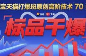 淘宝天猫打爆班原创高阶技术第70期：标品干爆-麦资源网