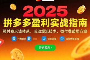 （15357期）拼多多盈利实战指南，强付费玩法，活动爆流技术，微付费破局方案(更新7月)-麦资源网