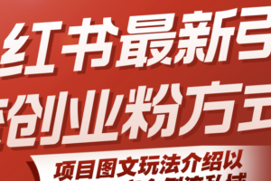 小红书最新引流创业粉方式，项目图文玩法介绍以及如何安全倒流私域-麦资源网