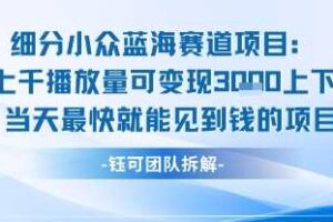 小众蓝海赛道项目：当天变现1k+适合新手操作 +适合长期玩-麦资源网