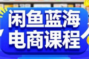 闲鱼蓝海电商课程,手把手助你快速上手,轻松实现闲鱼稳定盈利-麦资源网
