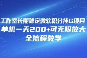 工作室长期稳定微软积分挂G项目，单机一天200+可无限放大，全流程教学【揭秘】-麦资源网