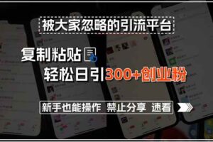 （15428期）被大家忽略的引流平台，复制粘贴轻松日引300+创业粉，新手也能操作，禁…-麦资源网