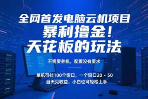 （15323期）电脑云机项目 暴力撸金玩法，不需要养机 配置没有要求 单机100个窗口一…-麦资源网