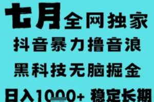 7月最新风口抖音无人直播撸音浪，长期稳定，非短期，全自动运行，低门槛无脑，日入1k+【揭秘】-麦资源网