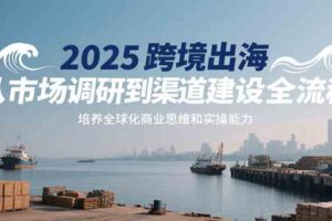 2025跨境出海从市场调研到渠道建设全流程，培养全球化商业思维和实操能力-麦资源网