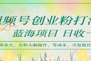 视频号创业粉打法，日入1k，蓝海项目，市场需求大，全程无脑操作，可复制-麦资源网