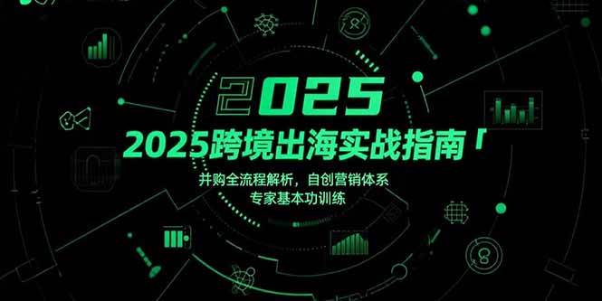 图片[1]-（15503期）2025跨境出海实战指南，并购全流程解析，自创营销体系，专家基本功训练