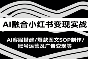 AI融合小红书变现实战课，AI客服搭建/爆款图文SOP制作/账号运营及广告变现等-麦资源网