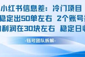 小红书信息差冷门项目一单利润30块每天稳定1.5k左右2个账号操作-麦资源网