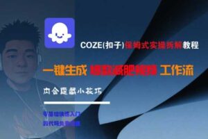 COZE(扣子)保姆式实操拆解教程，一键生成爆款减肥视频工作流，批量产出高质量视频-麦资源网