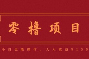 分享一个零撸项目，超简单副业小白必看，人人收益¥150（附渠道）-麦资源网