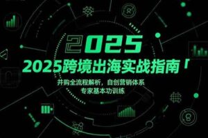 （15503期）2025跨境出海实战指南，并购全流程解析，自创营销体系，专家基本功训练-麦资源网
