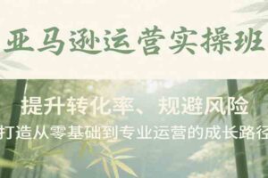 亚马逊运营实操班，提升转化率、规避风险，打造从零基础到专业运营的成长路径-麦资源网