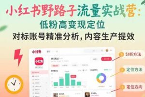 （15423期）小红书野路子流量实战营：低粉高变现定位 对标账号精准分析 内容生产提效-麦资源网
