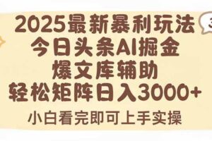 （15485期）2025年今日头条最新暴利玩法3.0，一键生成爆款，轻松实现矩阵日入3000+-麦资源网